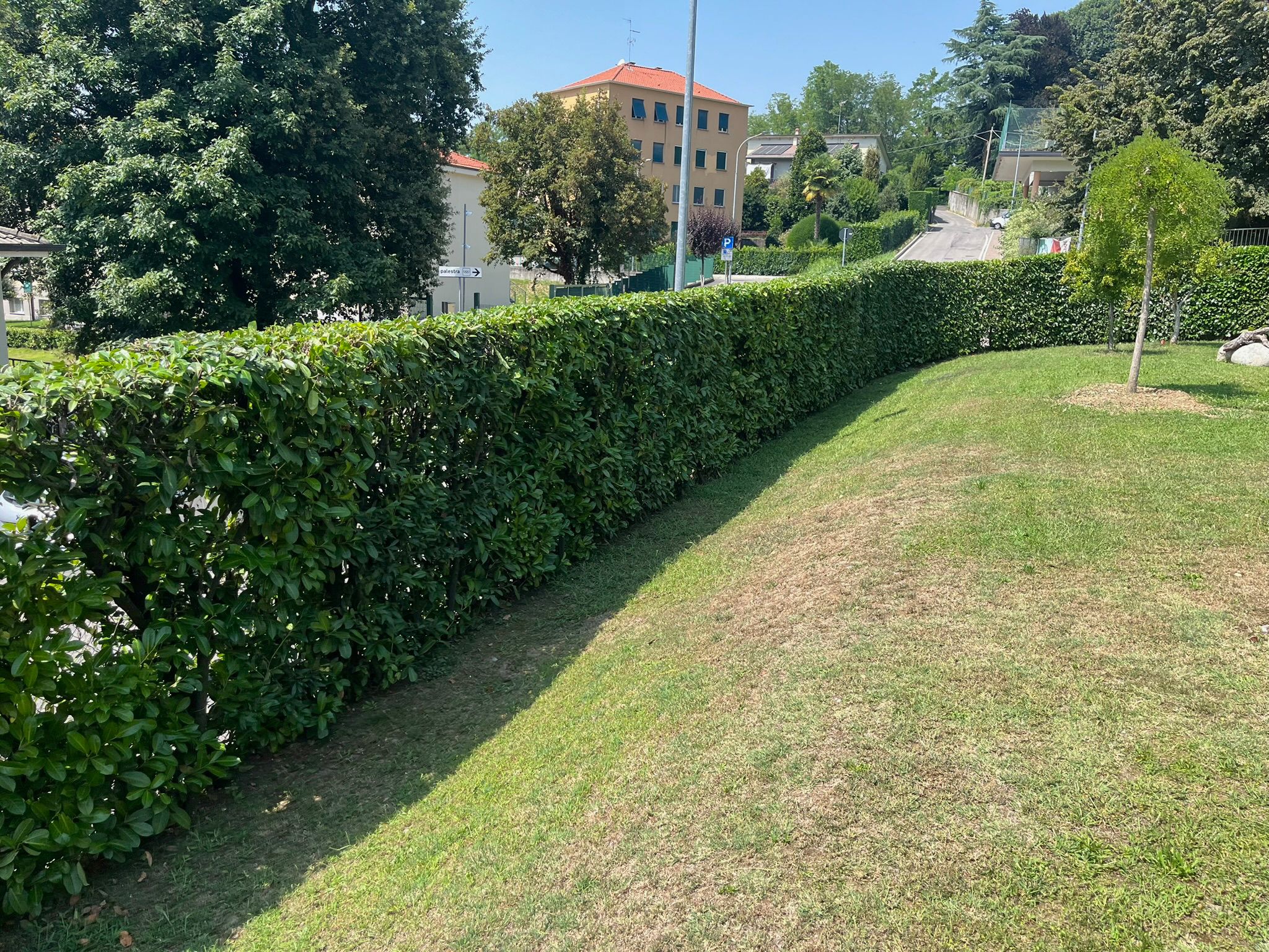 Consolidamento Rami