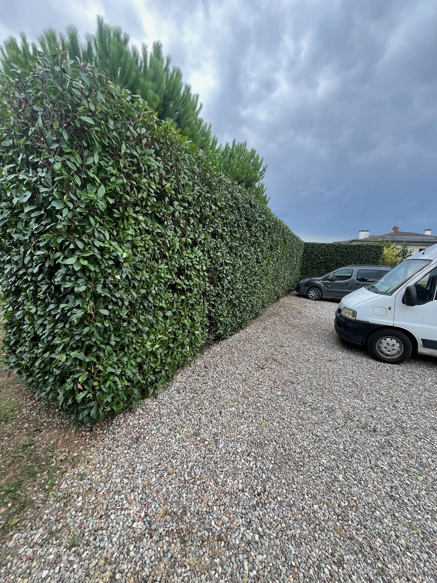 Realizzazione Bordure