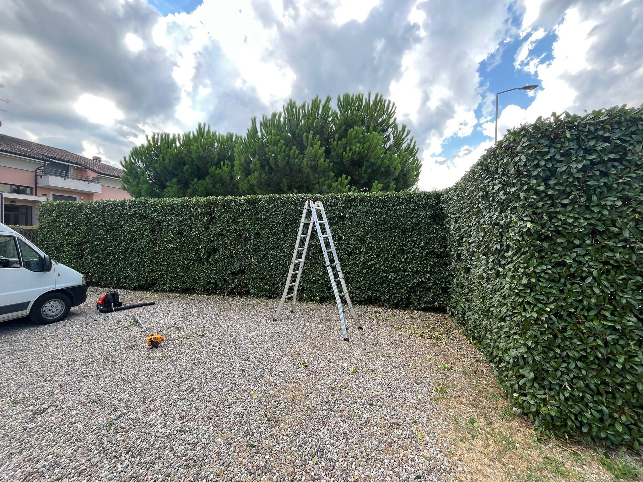 Rimozione Albero Secco