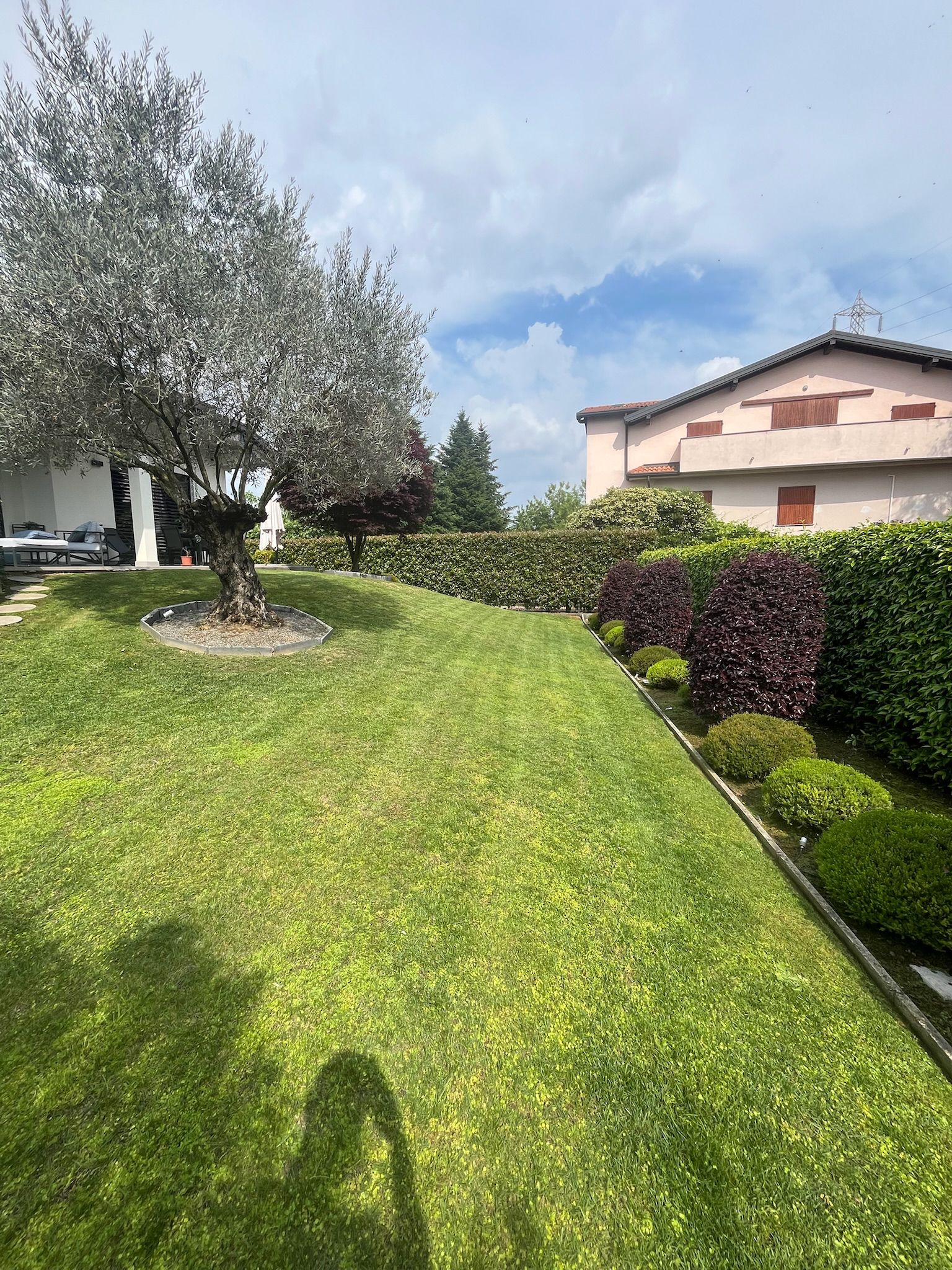 Ripristino Area Verde
